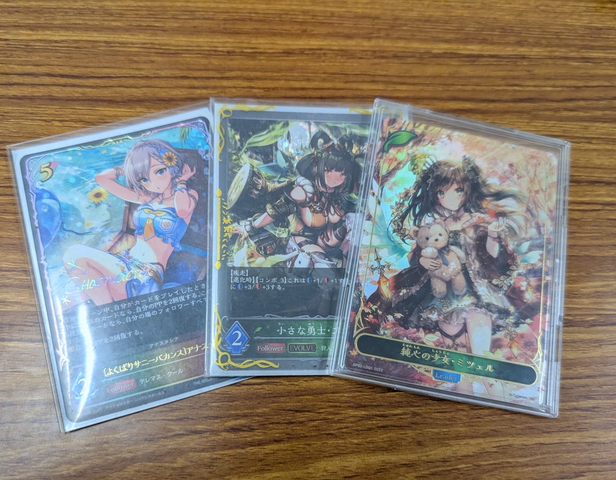 本日開催のShadowverse EVOLVEショップ大会は参加者2名でした 優勝者