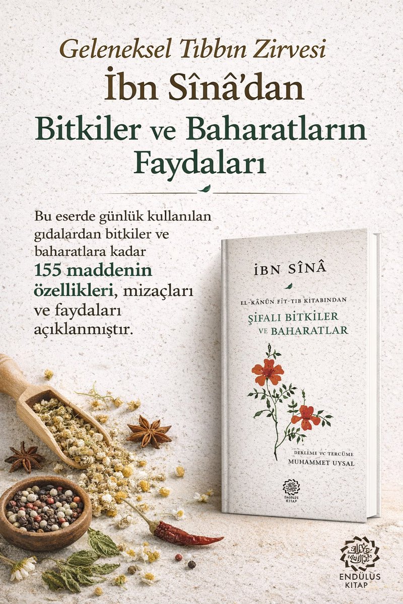 endülüs kitap tweet media