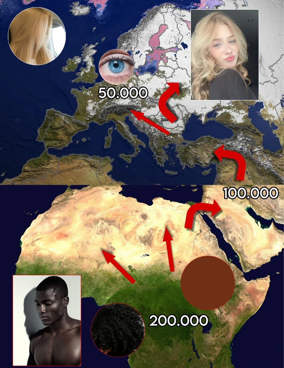 Epic Maps 🗺️ tweet media