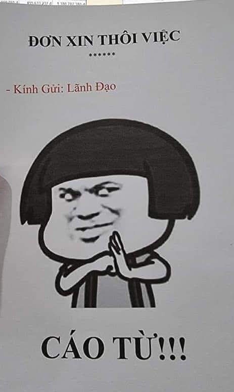 LilChi tweet media