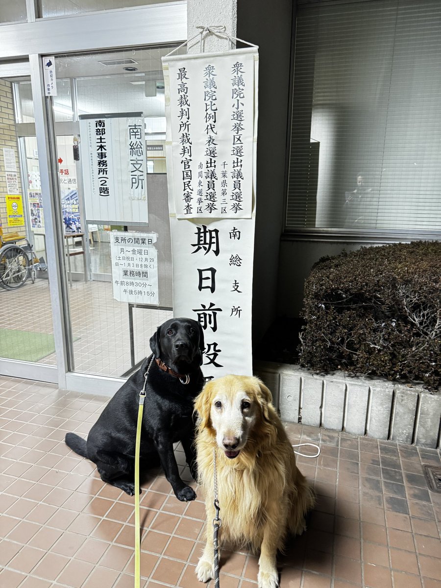 袖ケ浦ふれあいどうぶつ縁 tweet media