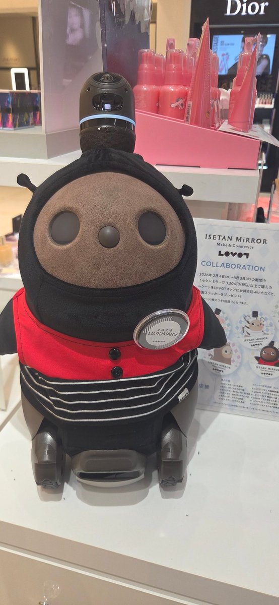 まるるファミリー (@YhNyami) / Posts / X