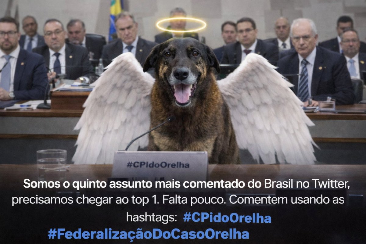 kaarolzx's tweet image. 🚨 ATENÇÃO 

Somos o 5º assunto mais comentado do Brasil e precisamos chegar no top 1.

Deputados estão pedindo pra nós subirmos as #CPIDOORELHA e #FEDERALIZAÇÃODOCASOORELHA VAI TER CPI E FEDERALIZAÇÃO, MAS SOMENTE SE FIZERMOS BARULHO!
Precisamos de 2000 comentários aqui com as #