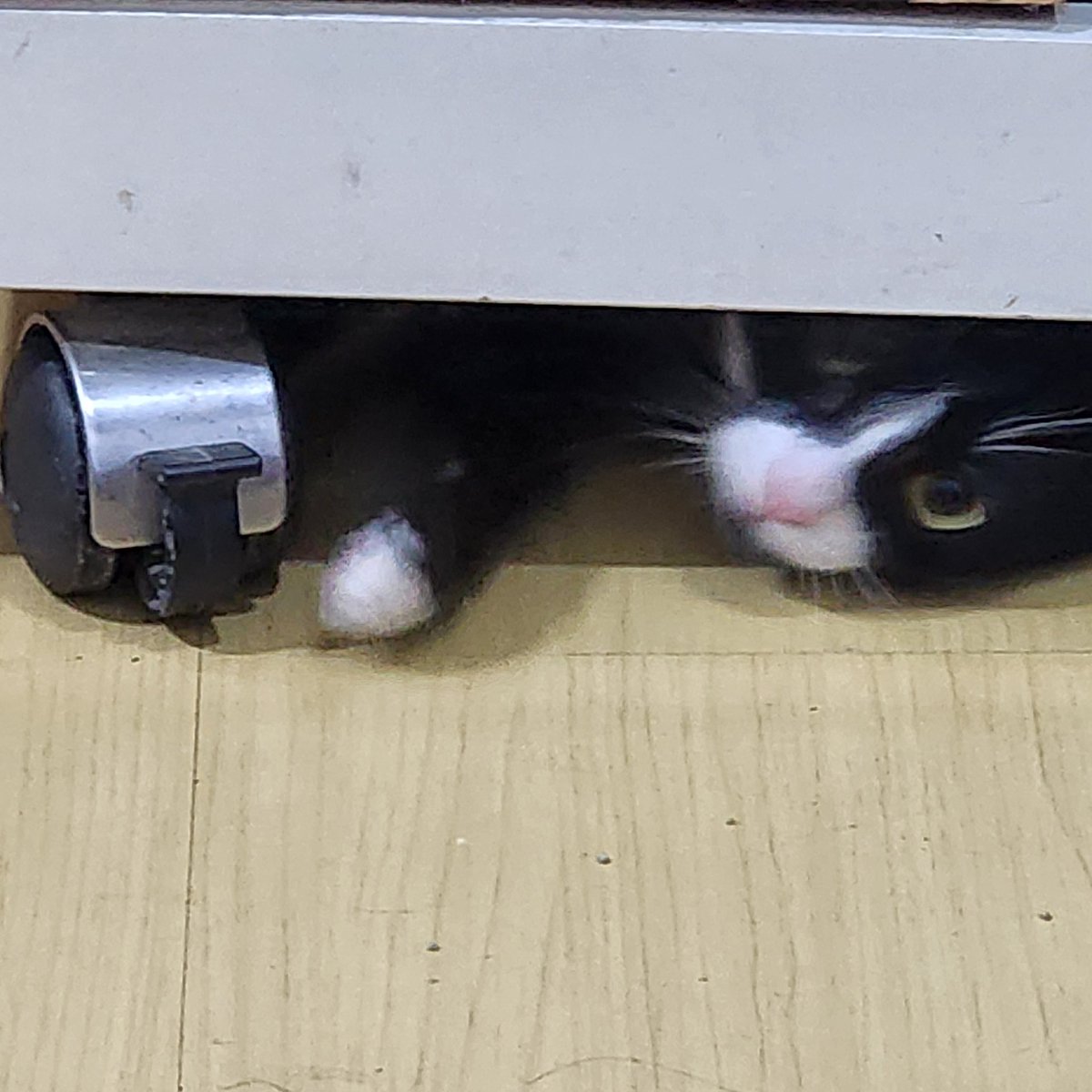 14RlSSA's tweet image. 14RlSSA out of twt