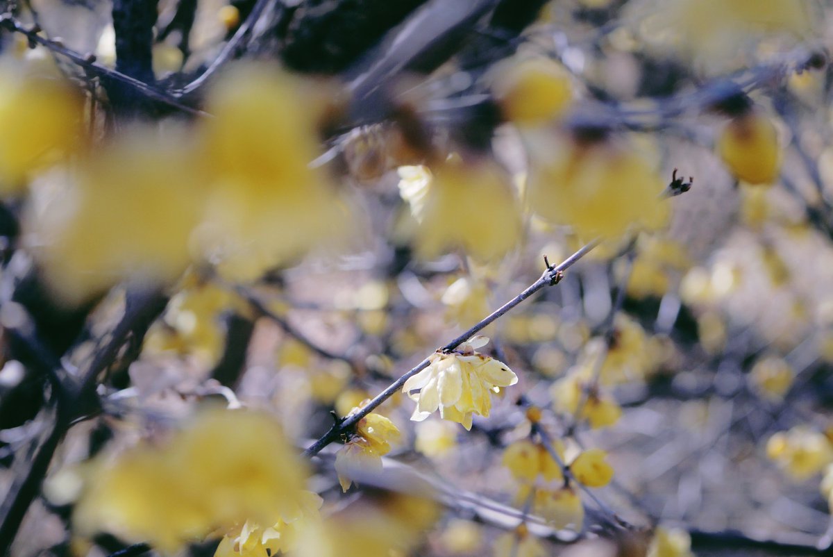 espr___'s tweet image. 