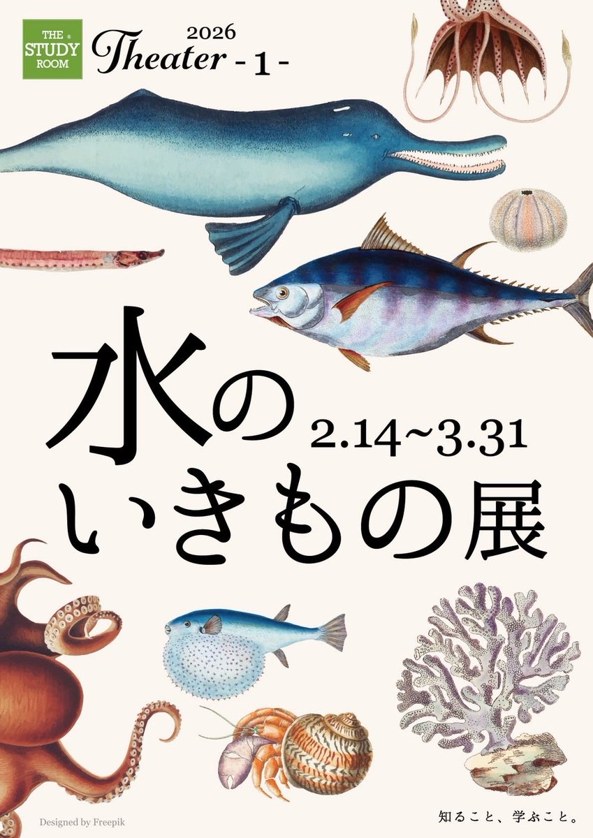 SAKANA BOOKS（サカナブックス）｜サカナに特化した本屋𓆝𓆟𓆜𓆞𓆡