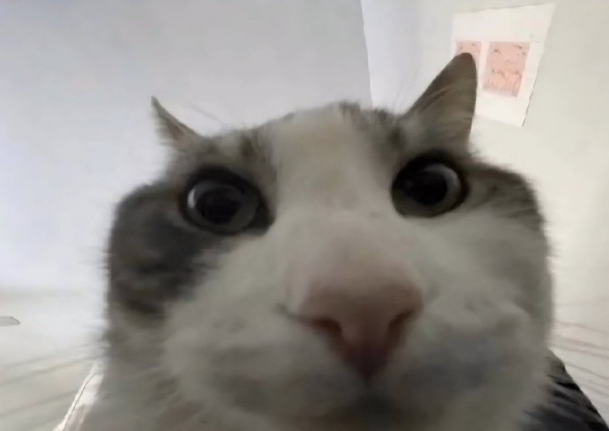 >erkek-kadın blabla bs yazısı gör
>”bilimsel” adı altında upuzun şeyler yaz
>kafandaki yel değirmenleri
>kafandaki yel değirmenleri

belki de tek gerçekten yetenek sorunu yaşamandır