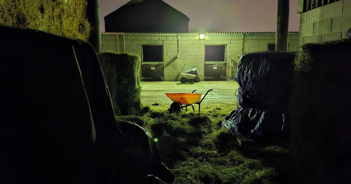 Matt_Mulvaney's tweet image. 🎯 New Blog: 4 Ways to reduce single-use Oracle APEX Page Items 💪

From basic page items → AJAX callbacks → plugins

✨ BONUS: Pass JS Objects back to PL/SQL

#orclapex #LowCode

mattmulvaney.hashnode.dev/stop-burning-o…