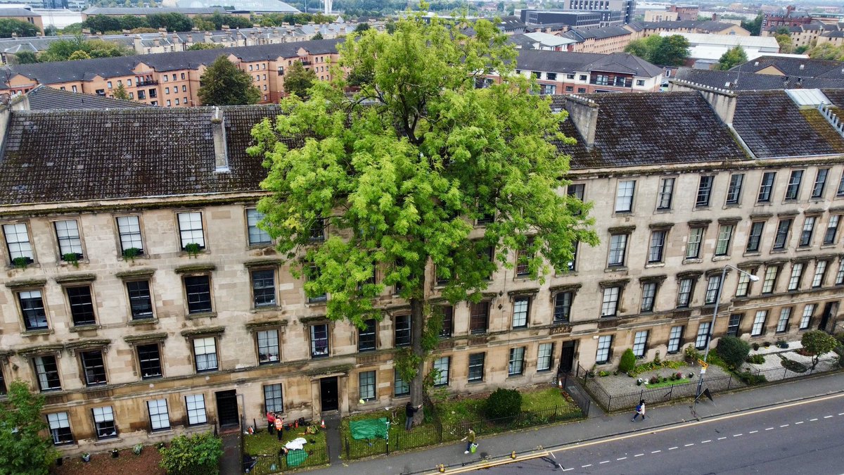 Past Glasgow tweet media