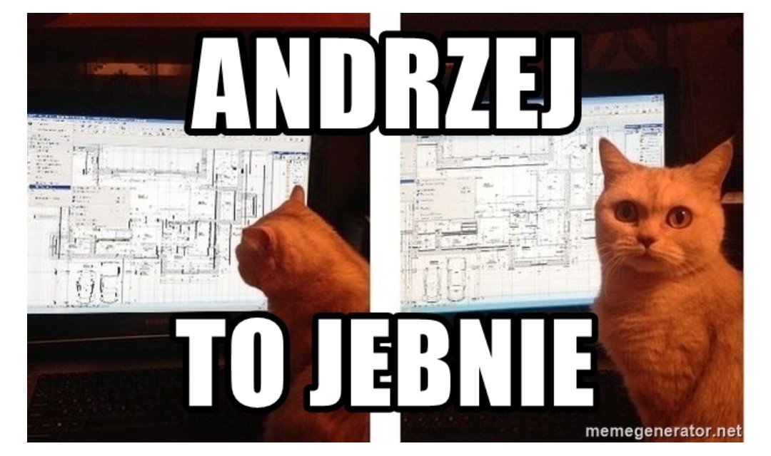 Tom🏀l tweet media