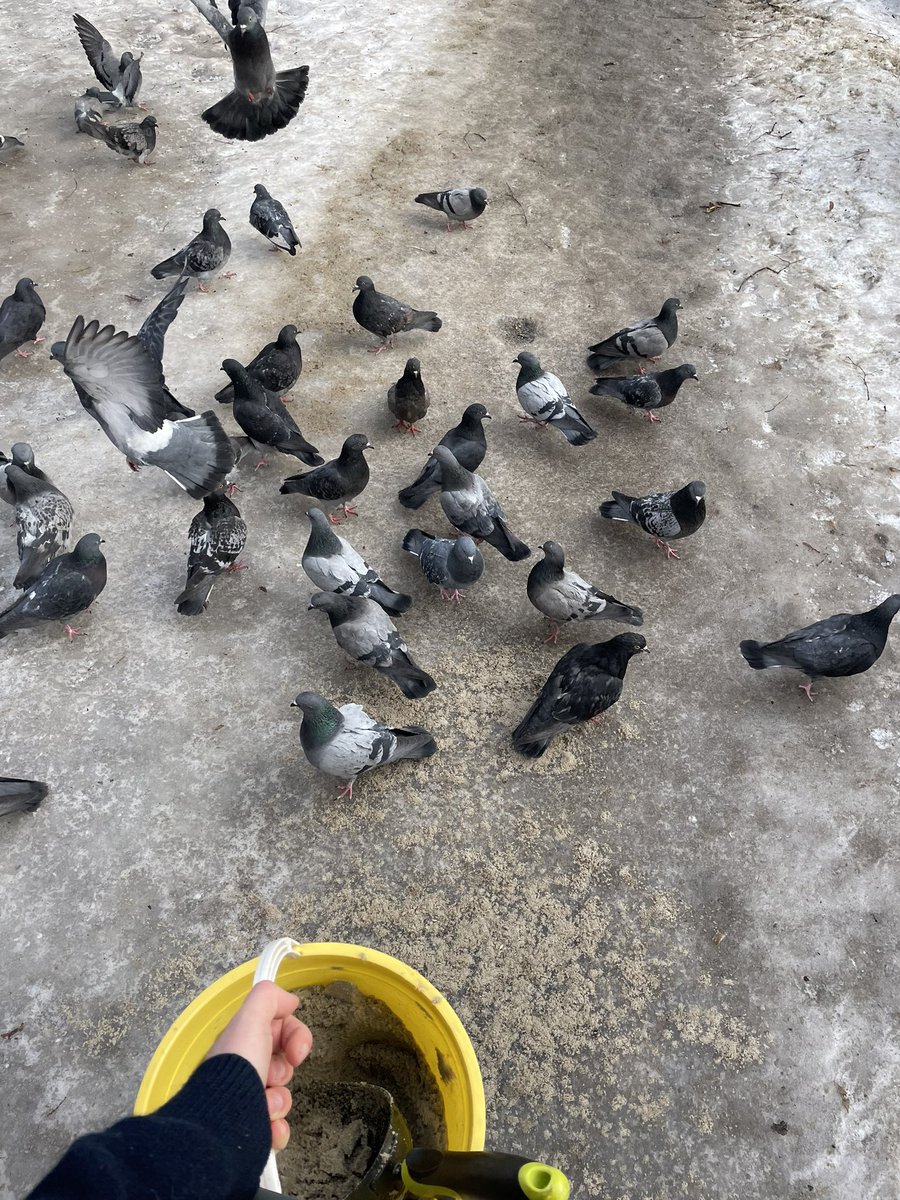 Я: сиплю піском вулицю 
Ці дурачкі: а що ти тут таке прикольне роздаєш 👀👀👀