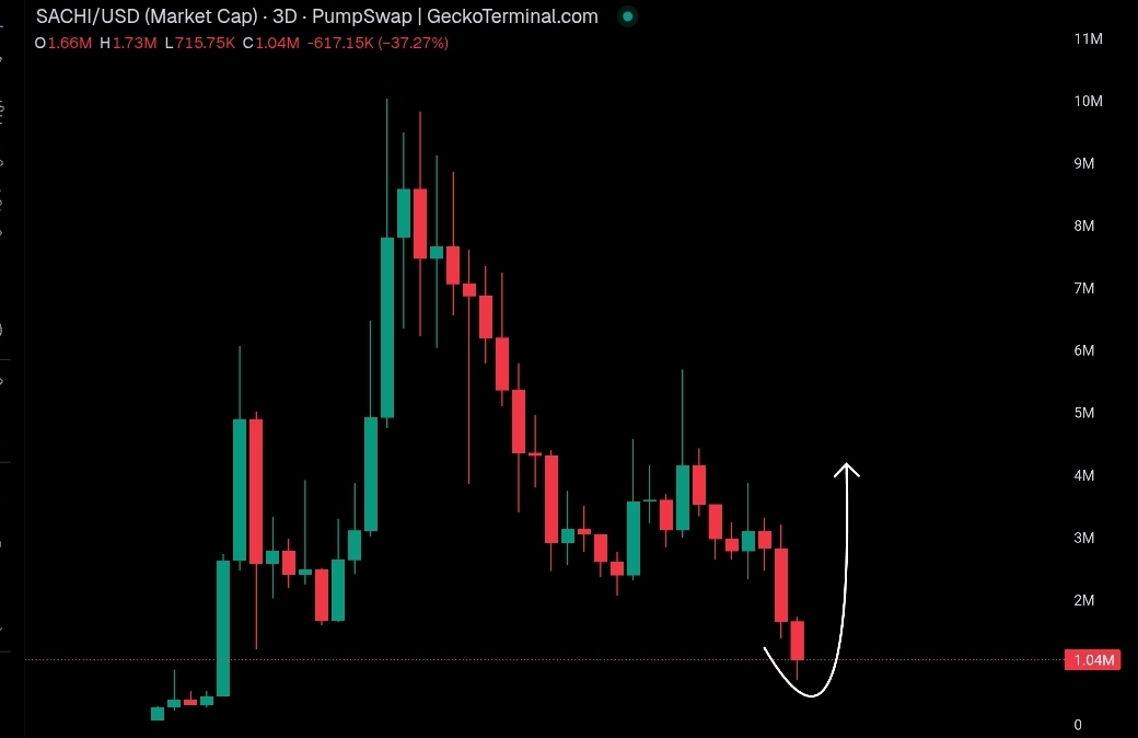 Altsteinn's tweet photo. Holy shit, $SACHI is starting to look like PENGUIN 😭

being a cult should go beyond engagement on X

let's hold that $1M floor together. EVERYBODY BUY!! https://t.co/VAdDV4WW4j