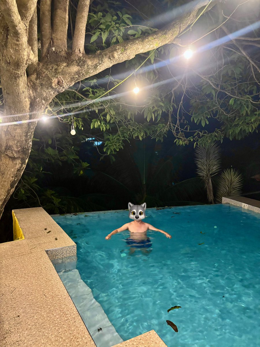 ☀️set. tweet media