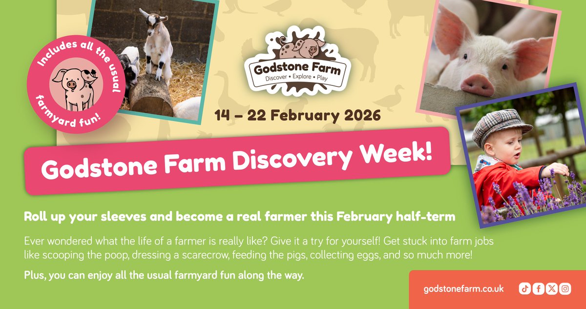 Godstone Farm tweet media