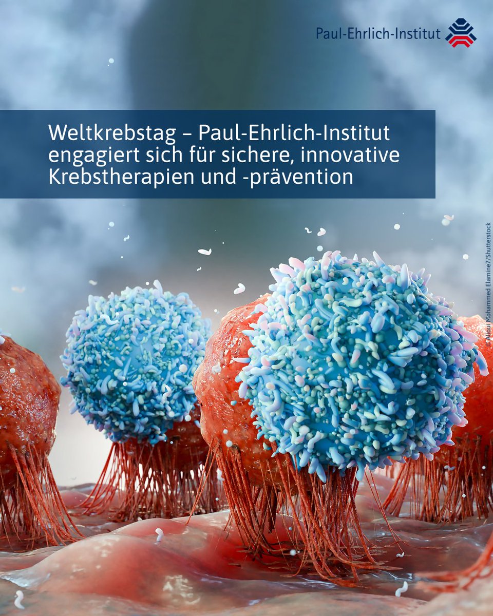 Paul-Ehrlich-Institut tweet media