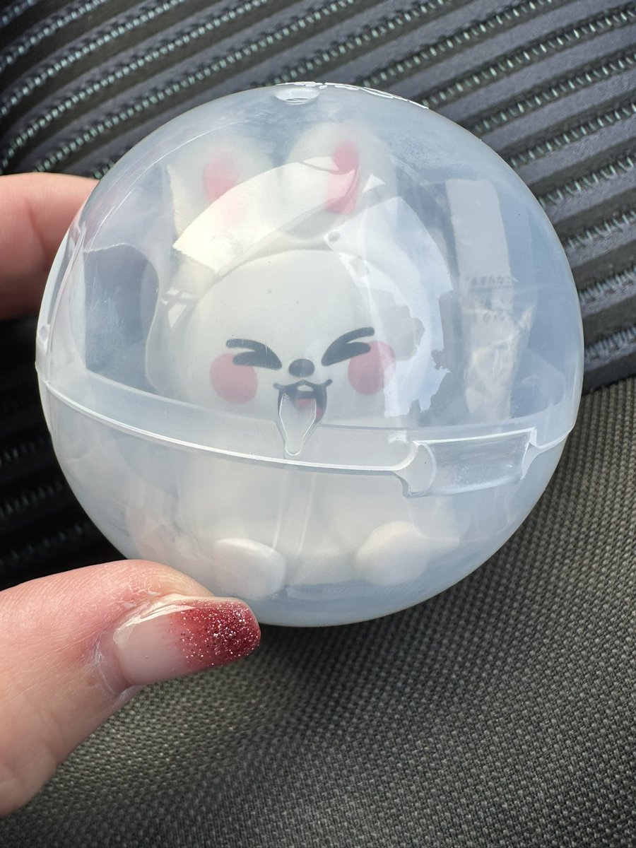 유🐯🐥🦊😼 tweet media