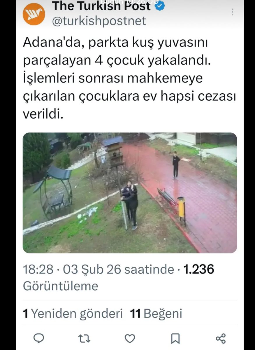 #adana #kuşlar #kuşlarınyuvası 
Bu vicdansızığa kalbim çok acıyor,çocukları merhametli,vicdanlı yetiştirin lütfen 😞 ve o kuşların evi tekrar yapılsın acilen o ev yeniden oraya yapılsın #hayvanhakları