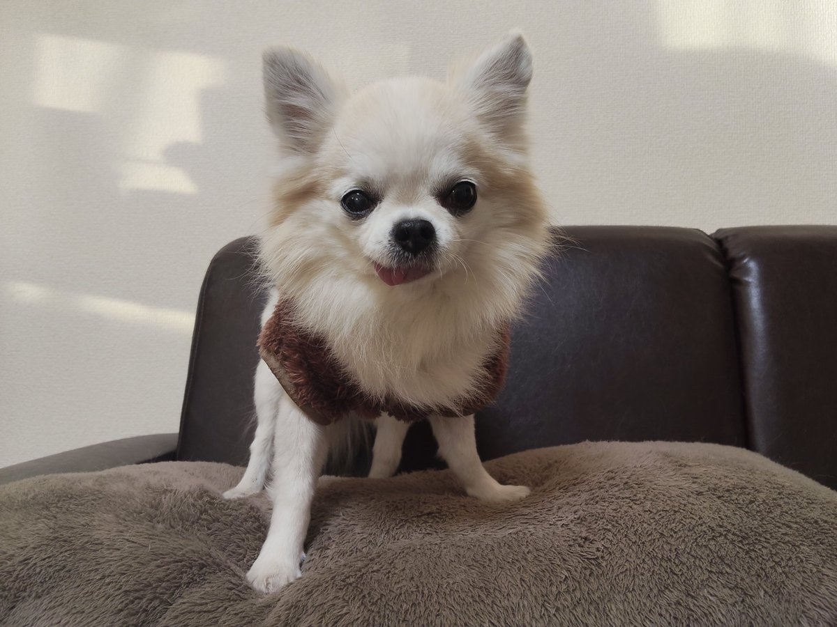 じゅんじゅん (@junjun_kana) / Posts / X