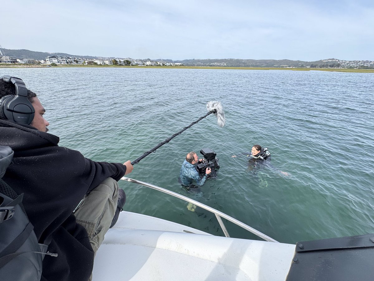 Bonne_de_Bod's tweet image. Dispatch From The Field:
Moments after seeing the magical Knysna seahorse! This little creature is a national treasure, as it is our only endemic seahorse and one of only two endangered seahorse species in the world.