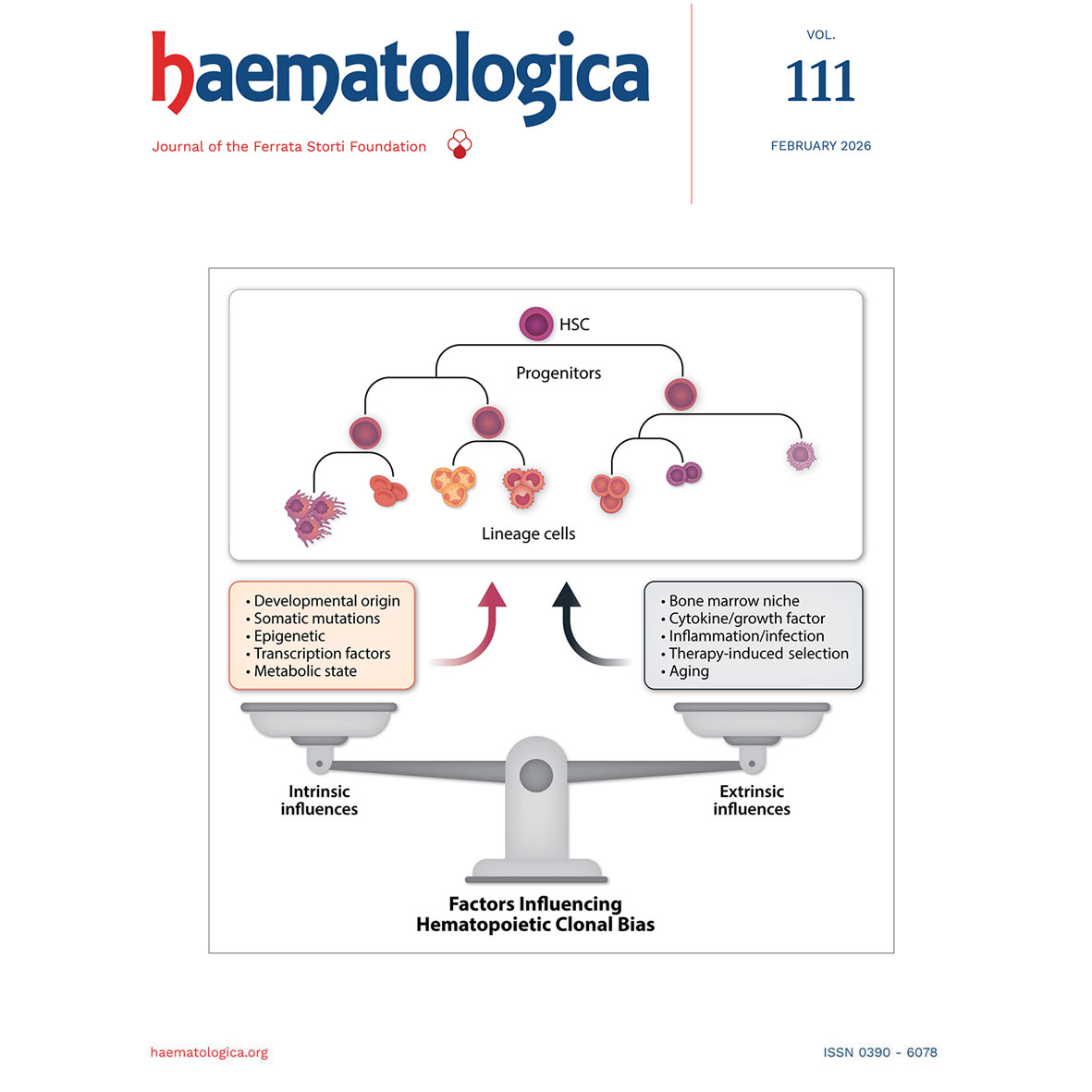 Haematologica tweet media