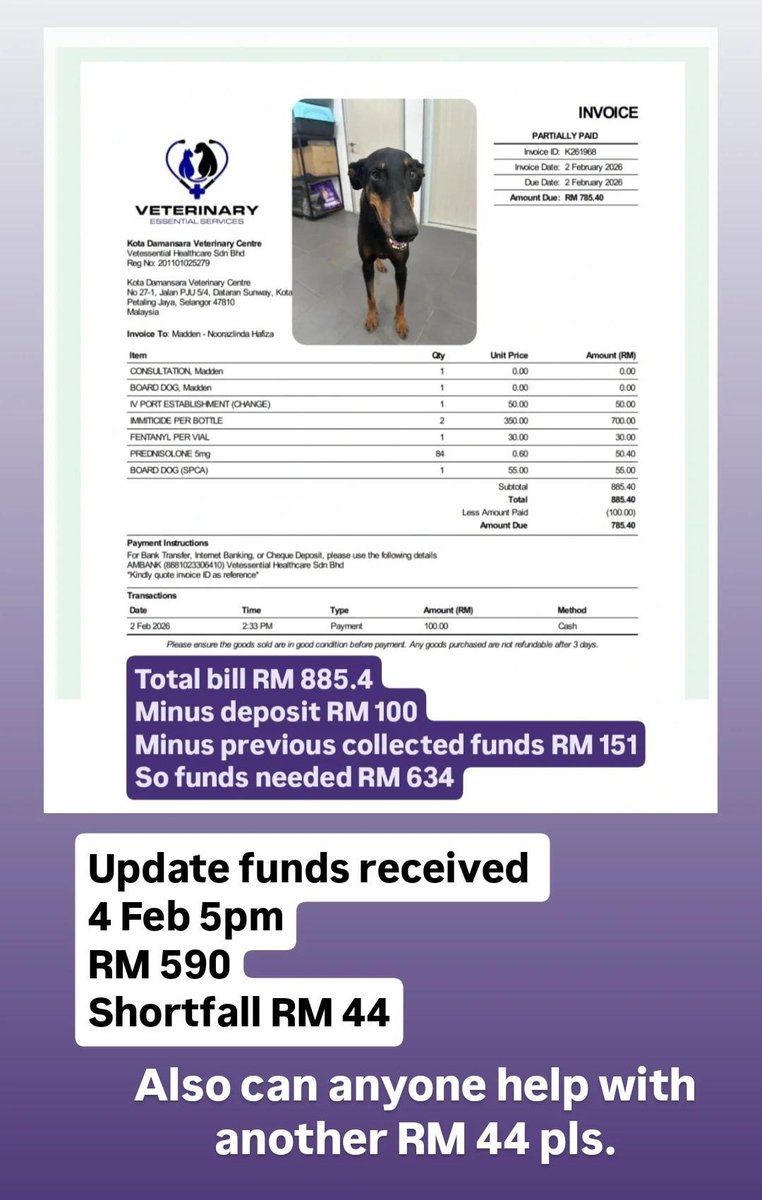 linda.elle.hafiza 🇲🇾 tweet media