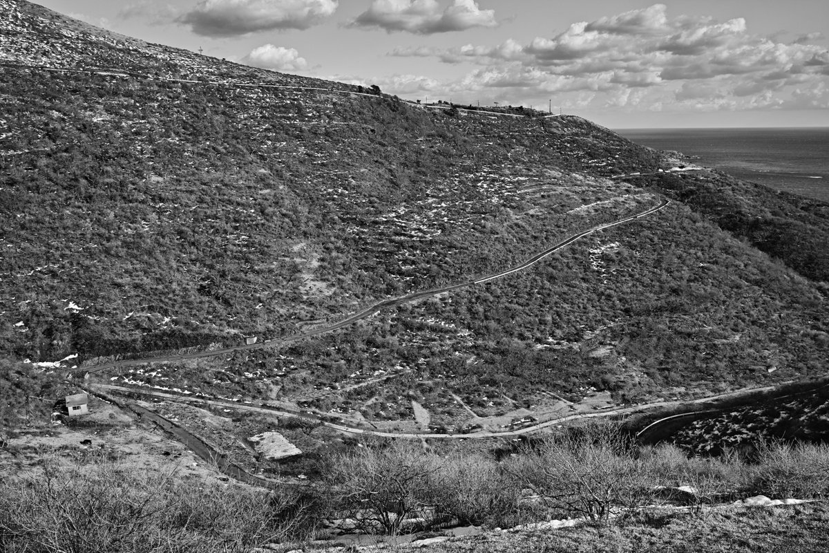 Finding Ordinary LINE＿＿＿＿