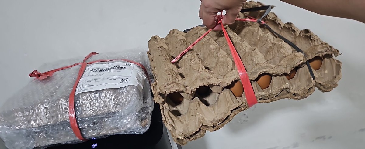 🍉iwin🍉 tweet media