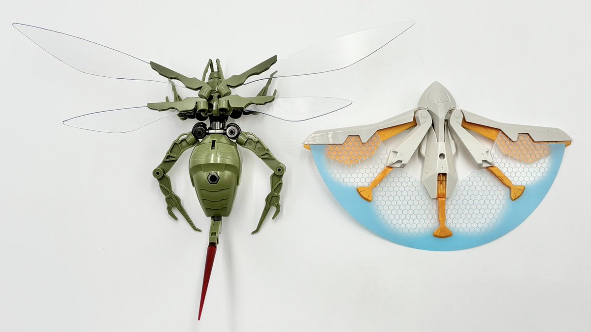 ヘキサギア昆虫標本