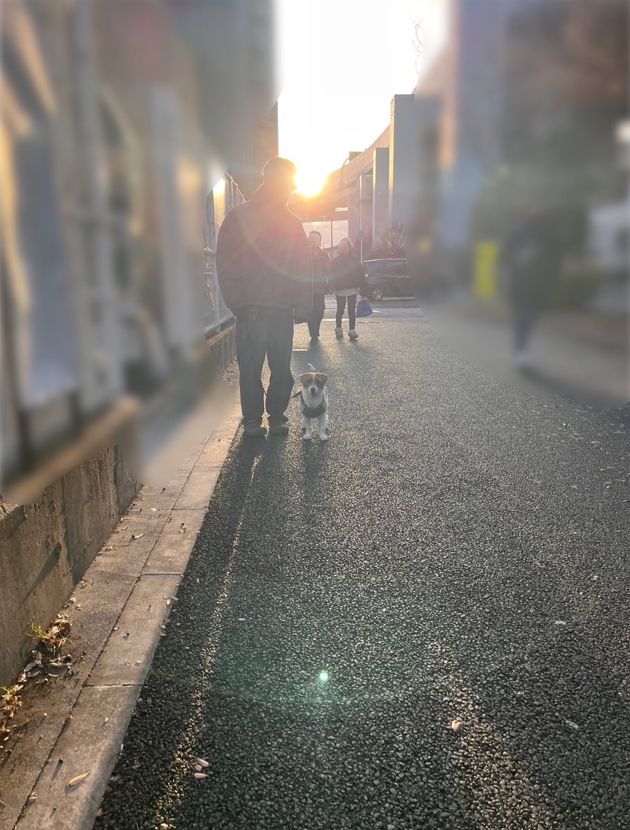 2人と1匹の寿命を足して3で割ろう
人間だけ1日長く生きることにしよう👩🏻🐶👦🏻