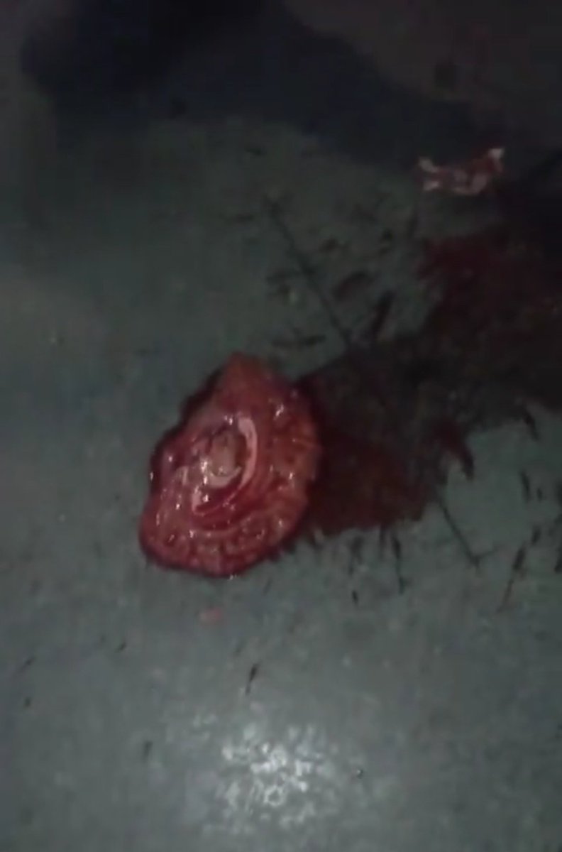 الکی خوش tweet media