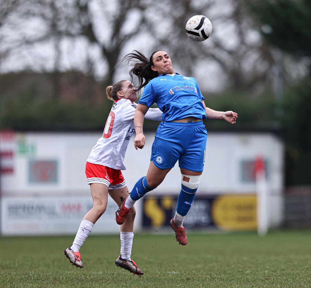 DarrenWiles_sports tweet media