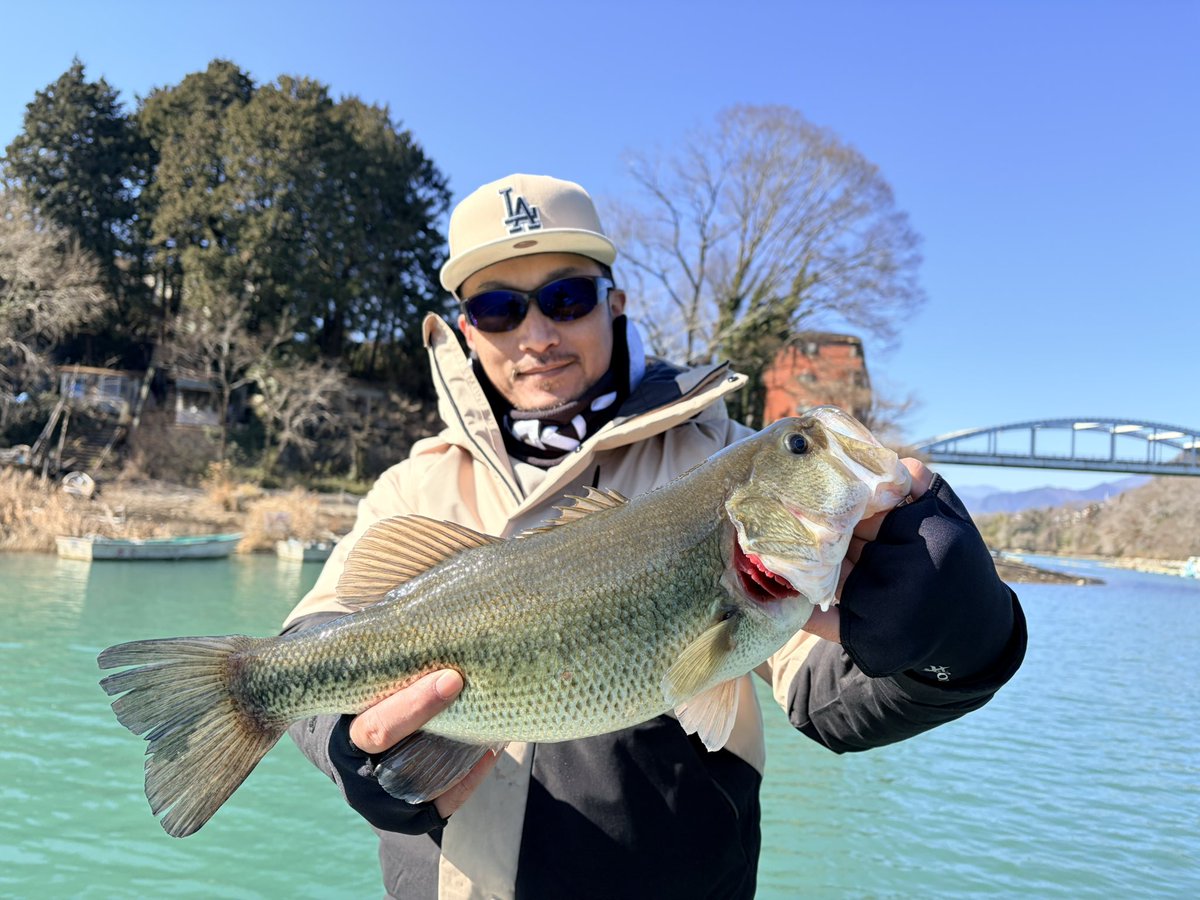 BASS TIME tweet media