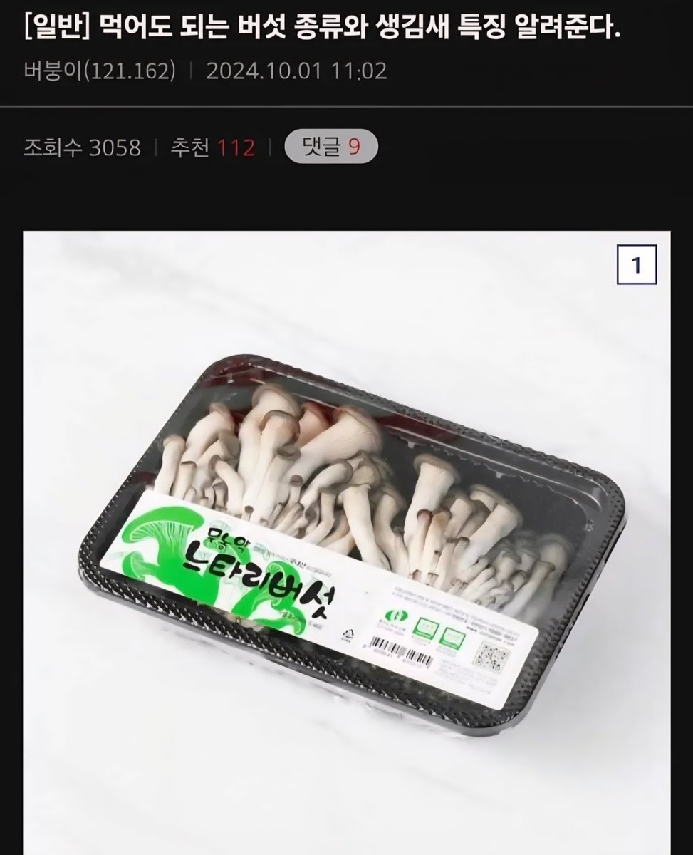 calmpeb's tweet image. 버섯 전문가가 알려주는 식용 버섯 특징