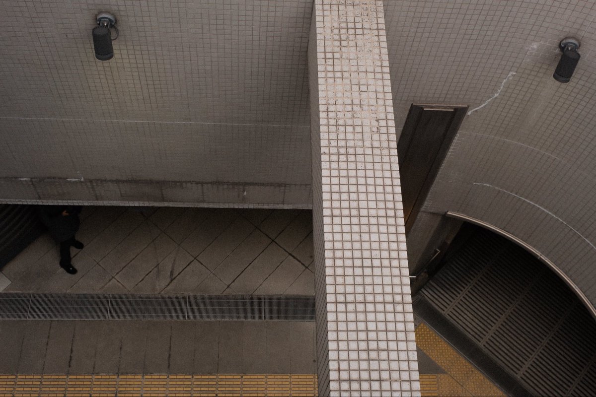 Daily Discard Project tweet media