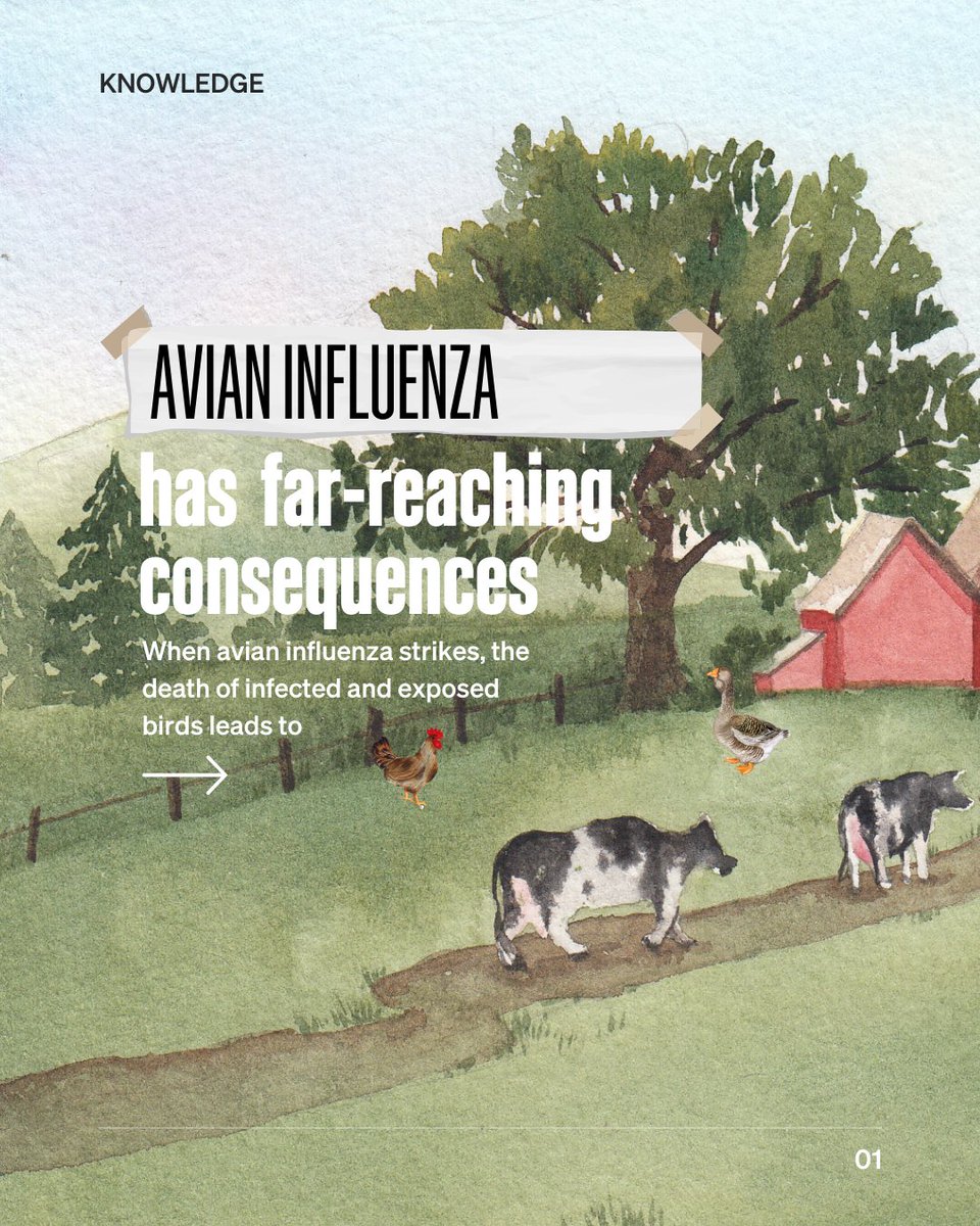 World Organisation for Animal Health tweet media