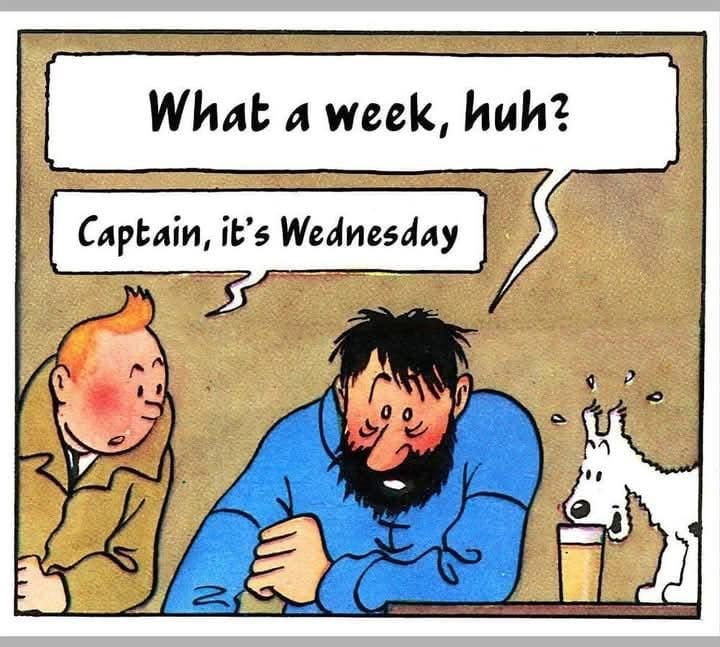 Stefan Willems (Beurs/Expat) tweet media