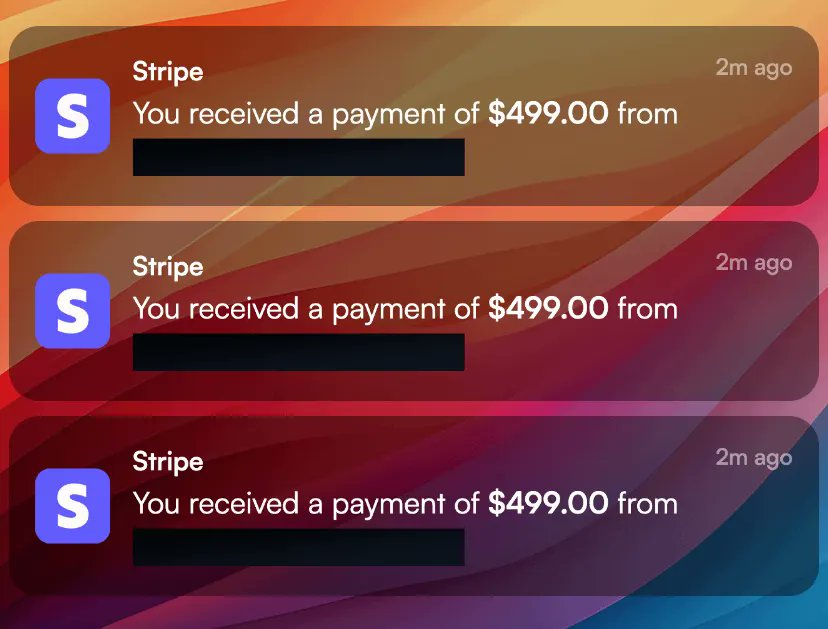 Amelia Fiorini tweet media