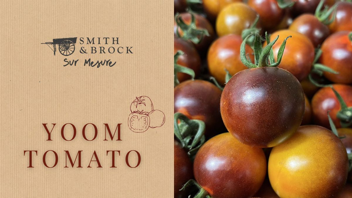 SmithandBrock's tweet photo. The tomato's skin is thin, taut, glossy, and smooth, showcasing dark purple, almost black hues to lighter purple shades. The tomatoes can be added to casseroles, roasted, sautéed, baked, or blistered and served with noodles, on top of meats or mixed into vegetables. 

#yoomtomato https://t.co/0bhabU4LgH