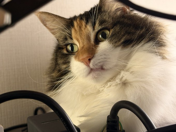 口に寝癖ができてる 