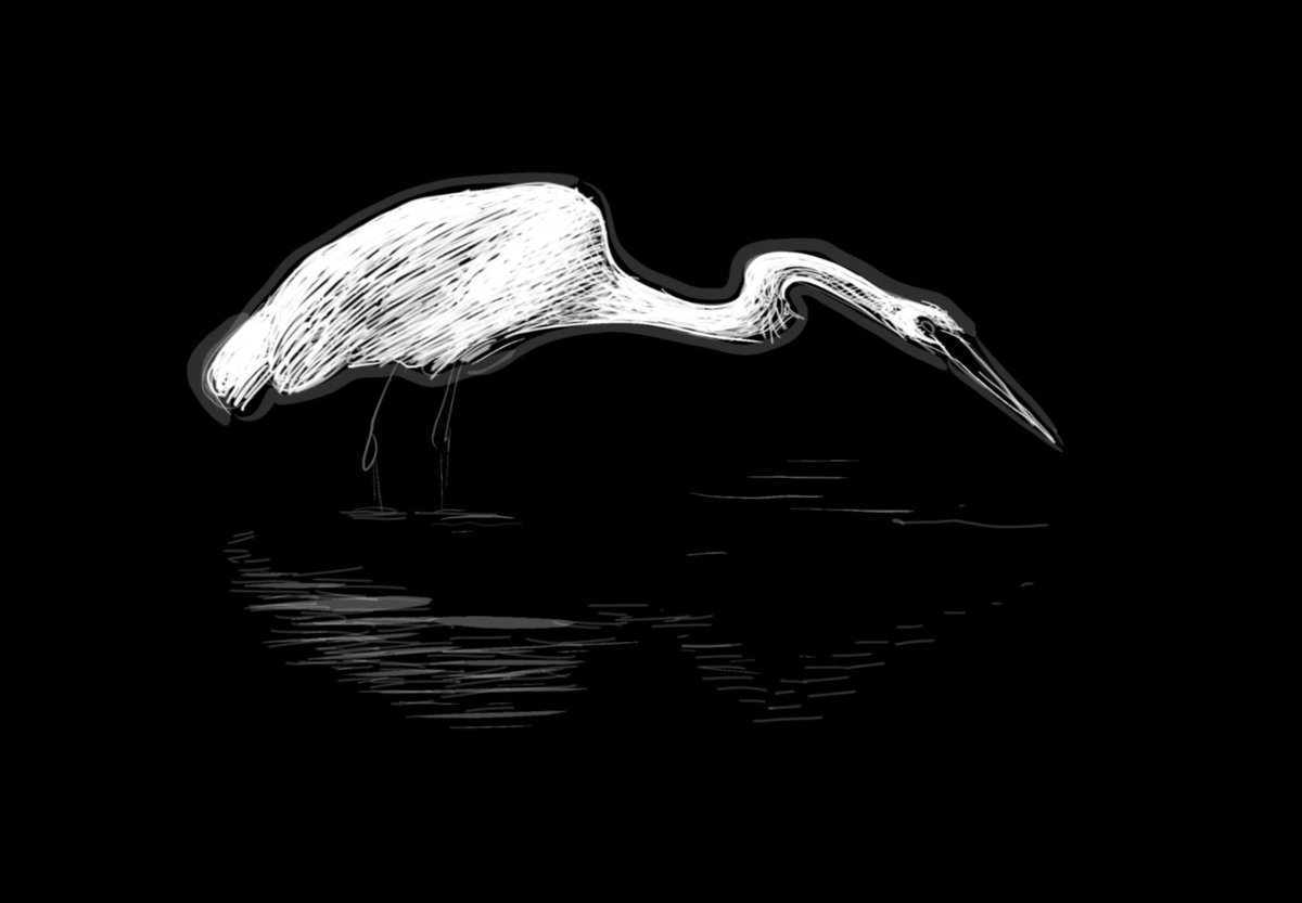 David Saussy tweet media