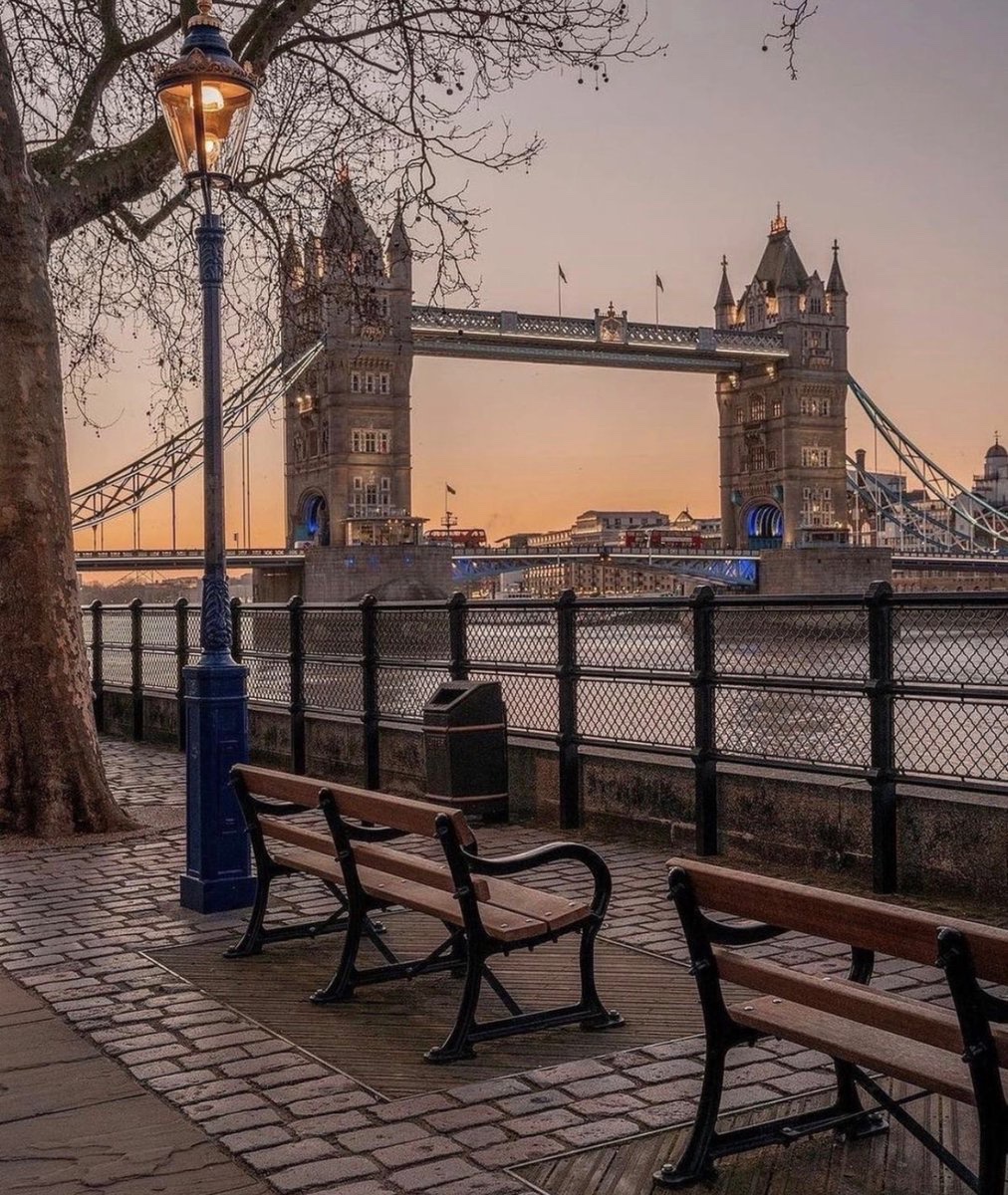EllieM_95's tweet photo. London is old enough to remember your silence,
and kind enough to let you stay awhile.🌧️📚☕ https://t.co/3IefnVUJdH