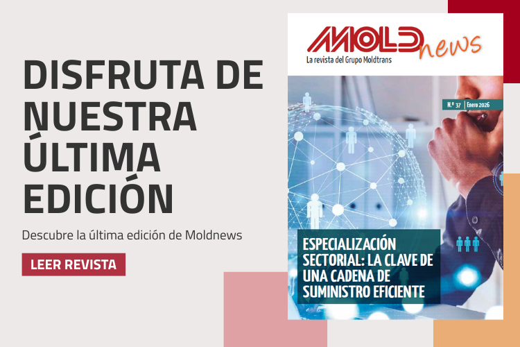 moldtrans's tweet photo. 🔴 ¡𝐘𝐚 𝐝𝐢𝐬𝐩𝐨𝐧𝐢𝐛𝐥𝐞 𝐌𝐨𝐥𝐝𝐧𝐞𝐰𝐬 𝐍º𝟑𝟕!

En nuestra nueva edición ponemos el foco en la especialización sectorial, una pieza clave para construir una cadena de suministro eficiente, flexible y competitiva.

🔗 https://t.co/PX1WOtSO9g https://t.co/Nincm5ss0A