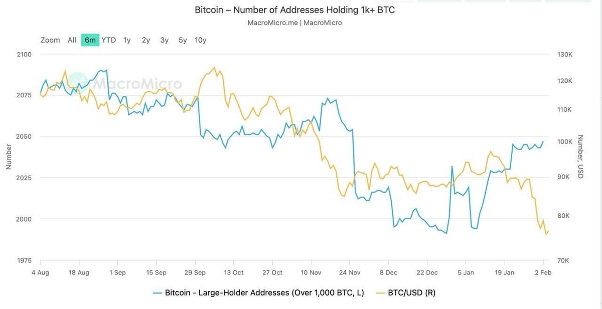 Bitfinex tweet media