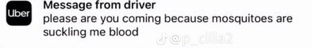MrAkyeampong's tweet image. A lady shared her chat with Ghanaian Uber drivers