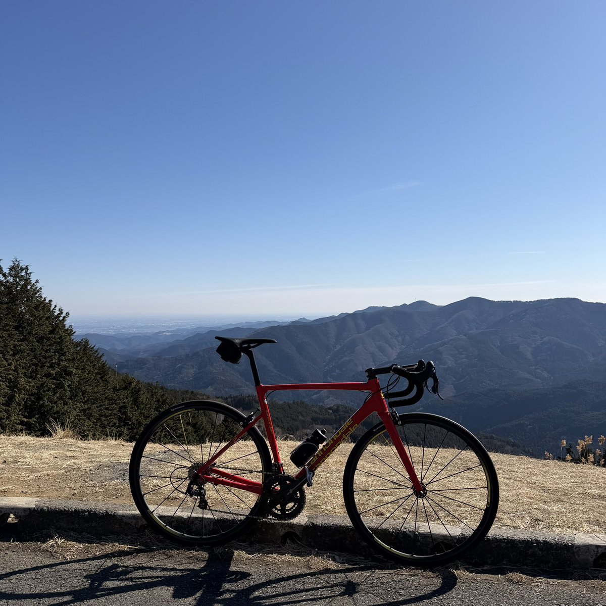 よっちゃん (@40yo40yo40) / Posts / X