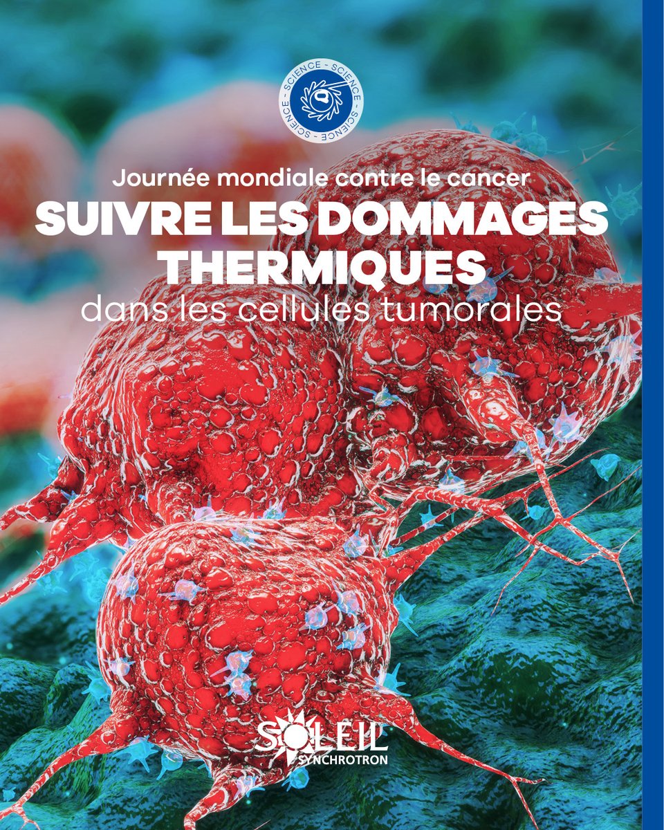 Synchrotron SOLEIL tweet media