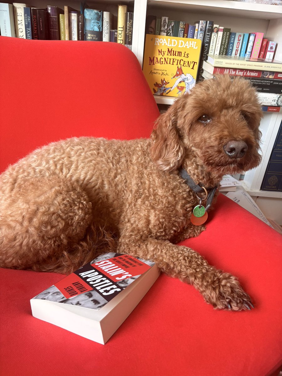 Antonia Senior tweet media