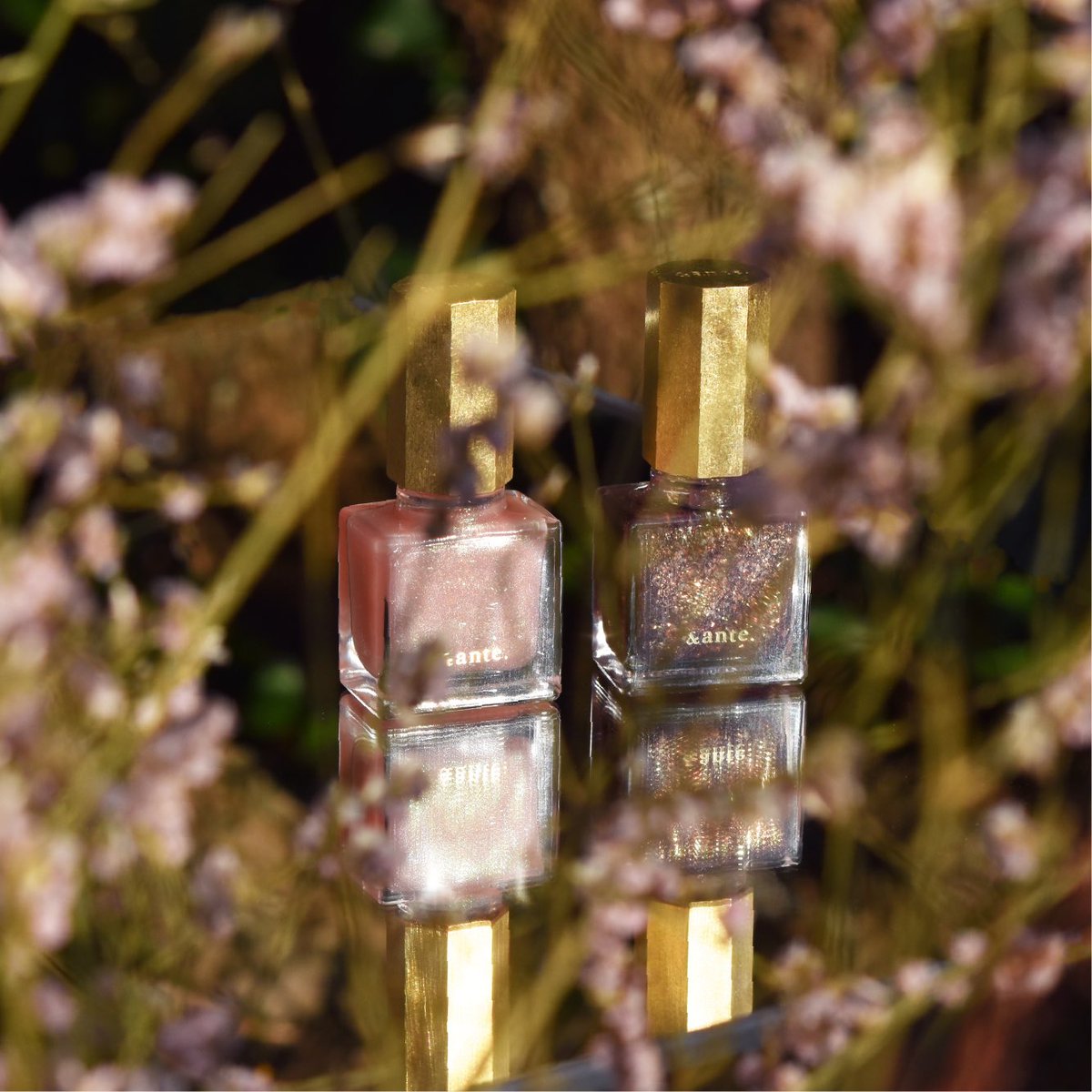 &ante. (@andante_arc) / Posts / X