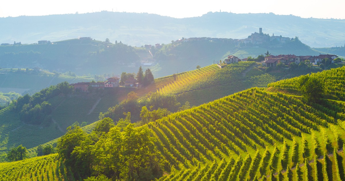 WSET School London tweet media