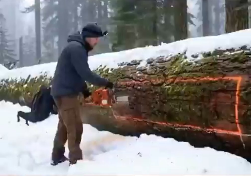 Chickenwing tweet media